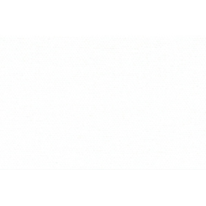ＴＣＮ張(UVプリンター用・桐木枠)張キャンバス 【2枚組】　［絵画規格］